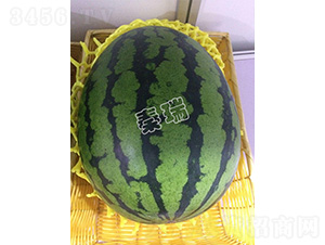 ��������2̖-���ϷN��-����