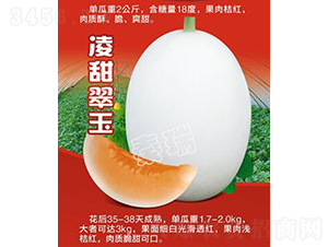 �������-��ϷN��-����