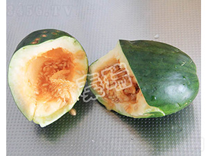 ����-��ϷN��-����