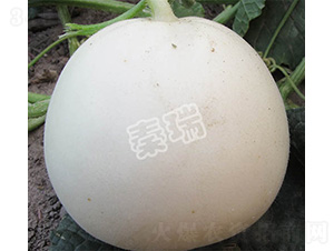 �����̖-��ϷN��-����