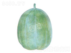 ֥����-��ϷN��-����