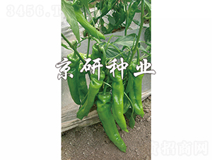 ����308-�����N��-���зN�I(y��)