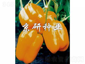 ����2̖-�����N��-���зN�I(y��)