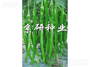 ����416-�����N��-���зN�I(y��)