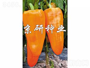 �S��-�����N��-���зN�I(y��)