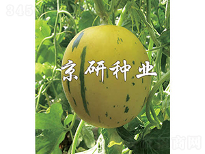 �����S����-��ϷN��-���зN�I(y��)