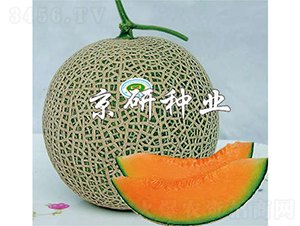 ����4̖-��ϷN��-���зN�I(y��)