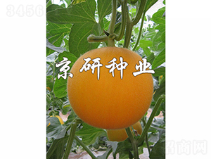 ����̫�-��ϷN��-���зN�I(y��)