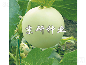 ����1̖-��ϷN��-���зN�I(y��)