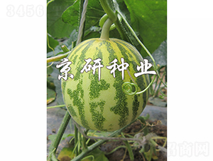 ����850-2-��ϷN��-���зN�I(y��)