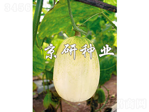 ������-��ϷN��-���зN�I(y��)