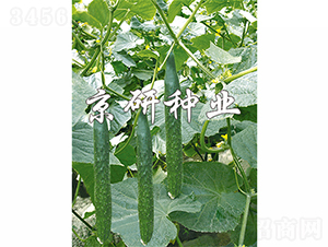 ����402-�S�ϷN��-���зN�I(y��)