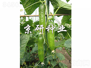 ���оG�ᭇ2̖(h��o)-�S�ϷN��-���зN�I(y��)