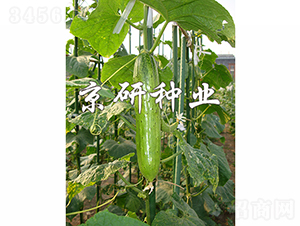 ���к���2̖(h��o)-�S�ϷN��-���зN�I(y��)