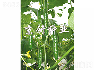 ���2̖(h��o)-�S�ϷN��-���зN�I(y��)