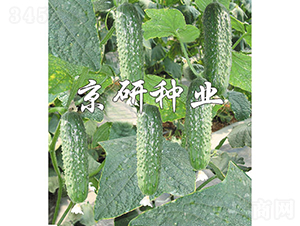 ������n��90-�S�ϷN��-���зN�I(y��)