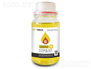 �Ǵ���-��������