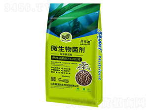 ΢�������-������-�Ό���