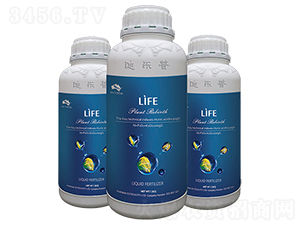 �M������I�B(y��ng)�ⶾ��-���R����-�Ϙ���