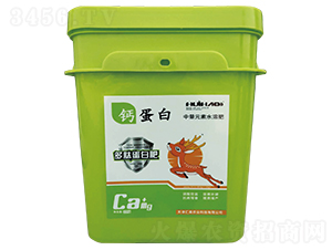 �����}���׷�-�R��r(n��ng)�I(y��)