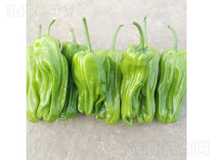 ���ᭇ��̖-�����N��-��������