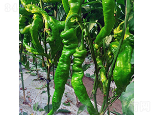 ���]201-�����N��-��������