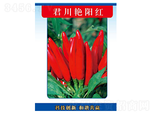 �����Gꖼt-�����N��-�����N�I(y��)