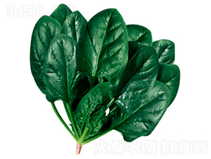 ����503-���˷N��-�����N�I(y��)