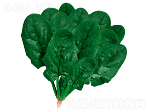 ����502-���˷N��-�����N�I(y��)