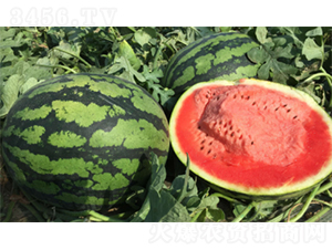 ����3̖-���ϷN��-�����N�I(y��)