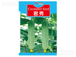 ����-�S�ϷN��-�����N�I(y��)