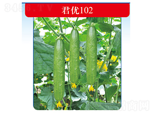 ����(y��u)102-�S�ϷN��-�����N�I(y��)