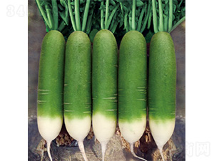 �����G���-�}���N��-�����N�I(y��)