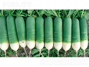 ������G-�}���N��-�����N�I(y��)