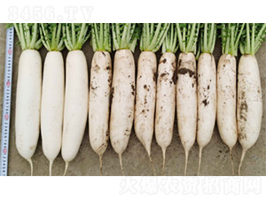 �n�״��-�}���N��-�����N�I(y��)