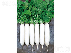 ����2̖-�}���N��-�����N�I(y��)