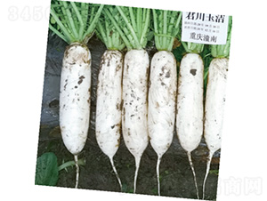 ������-�}���N��-�����N�I(y��)