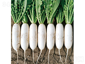 �������ď�-�}���N��-�����N�I(y��)