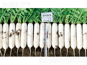 ��������-�}���N��-�����N�I(y��)