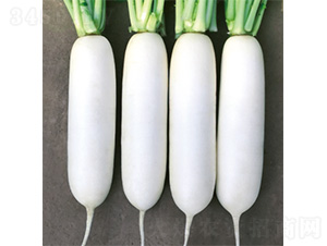 ����R806-�}���N��-�����N�I(y��)