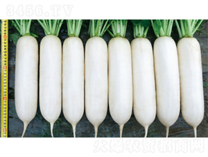 ����2̖-�}���N��-�����N�I(y��)