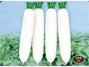 ��������2̖(h��o)-�}���N��-�����N�I(y��)