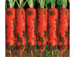 ��t-���}���N��-�����N�I(y��)