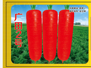 �V��2̖(h��o)-���}���N��-�����N�I(y��)