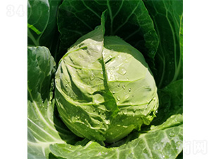 ��ϲ501-���{�N��-�����N�I(y��)