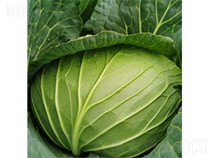 �������m-���{�N��-�����N�I(y��)