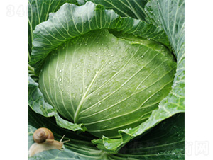 �����GҰ-���{�N��-�����N�I(y��)