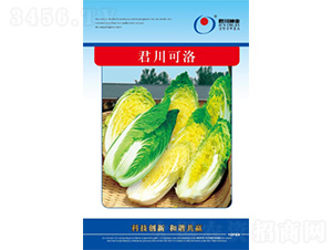 ��������-���޲˷N��-�����N�I(y��)