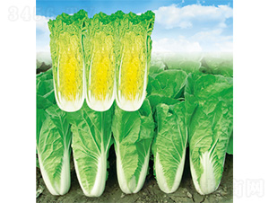 �n�����h-��˷N��-�����N�I(y��)