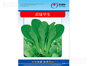 ���G����-��˷N��-�����N�I(y��)